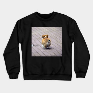 Levitating Floof Crewneck Sweatshirt